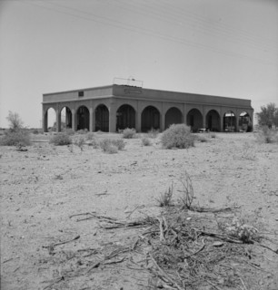 Aftermath of irrigation boom and subsequent collapse of cotton, Nyland, California, 1937. Creator: Dorothea Lange.