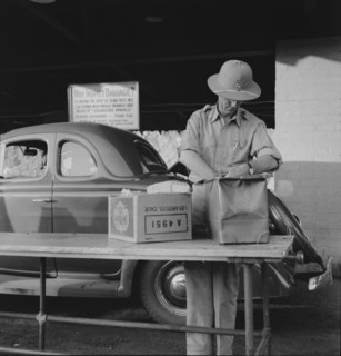 California state plant quarantine inspector examining baggage for insect pests, Arizona, 1937. Creator: Dorothea Lange.