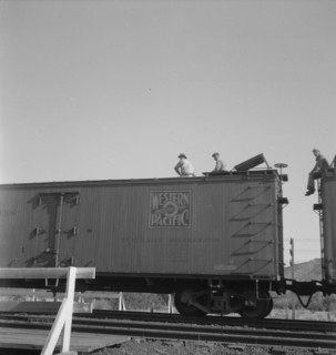 Freight moving east near Odessa, Texas, 1937. Creator: Dorothea Lange.