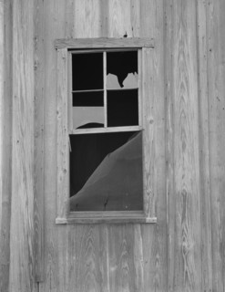 Abandoned shack of a tenant farmer near Roscoe, Texas, 1937. Creator: Dorothea Lange.