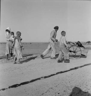 Flood refugee family near Memphis, Texas, 1937. Creator: Dorothea Lange.