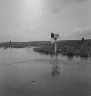 This year (1937) there are floods and heavy rains in the Dust Bowl, Texas, 1937. Creator: Dorothea Lange.