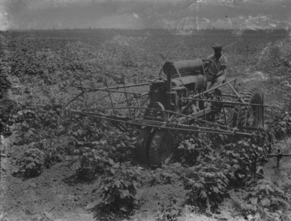 Tractor and integrated four-row cultivator, Aldridge Plantation, near Leland, Mississippi, 1937. Creator: Dorothea Lange.