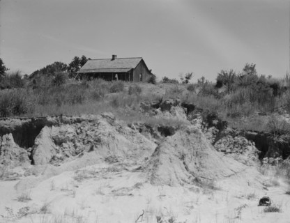 Eroded cotton farm near Jackson, Mississippi, 1937. Creator: Dorothea Lange.