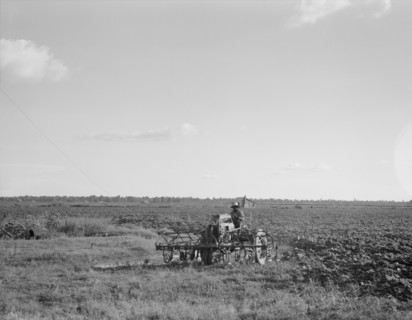 Aldridge Plantation, Mississippi, 1937. Creator: Dorothea Lange.