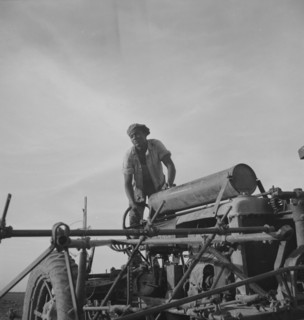 Negro tractor driver, Aldridge Plantation, Mississippi, 1937. Creator: Dorothea Lange.
