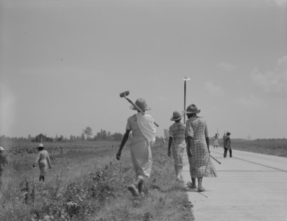 Cotton hoers (day laborers) move from one field across..., Mississippi Delta, 1937. Creator: Dorothea Lange.