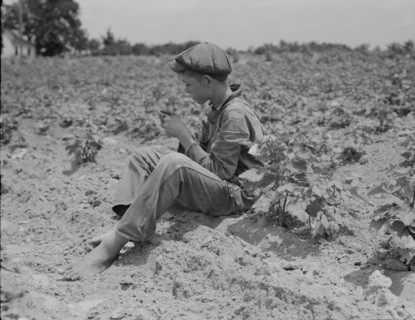 Sharecropper boy near Chesnee, South Carolina, 1937. Creator: Dorothea Lange.
