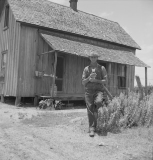 Former tenant farmer on a large cotton farm, Bell County, Texas, 1937. Creator: Dorothea Lange.