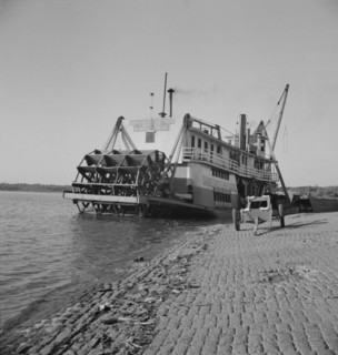 Stern wheeler pulled up to the municipal levee at Greenville, Mississippi, 1937. Creator: Dorothea Lange.