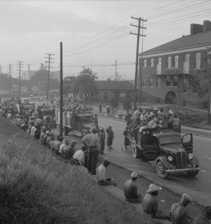 Cotton hoers, Memphis, Tennessee, 1937. Creator: Dorothea Lange.