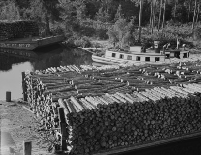 Pulp wood going down the River Styx to Mobile by inland waterway near Robertsdale, Alabama, 1937. Creator: Dorothea Lange.