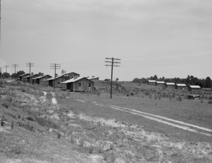 Turpentine camp, Godwinsville, Georgia, 1937. Creator: Dorothea Lange.