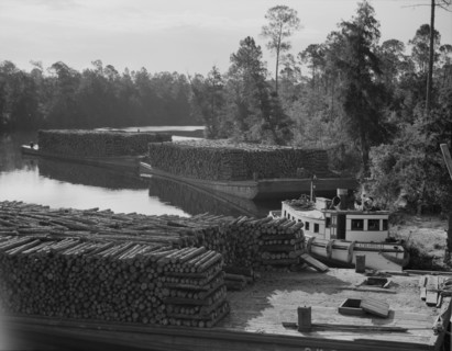 Pulpwood going down the River Styx to Mobile by inland waterway, near Robertsdale, Alabama, 1937. Creator: Dorothea Lange.