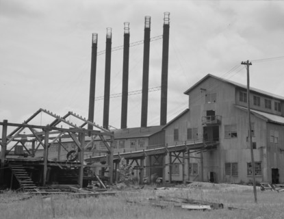 Lumber mill being dismantled at Careyville, Florida, 1937. Creator: Dorothea Lange.