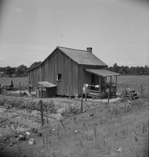 Home of turpentine workers near Godwinsville, Georgia, 1937. Creator: Dorothea Lange.