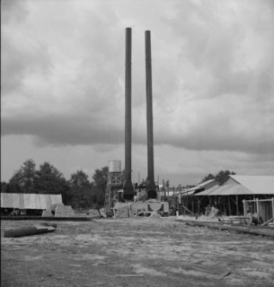 Turpentine plant near Marianna, Florida, 1937. Creator: Dorothea Lange.