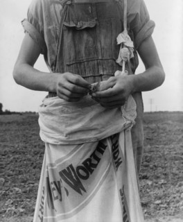 Farm boy with sack full of boll weevils...off of cotton plants, Macon County, Georgia, 1937. Creator: Dorothea Lange.