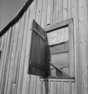 Cotton laborer's house, Louisiana, 1937. Creator: Dorothea Lange.