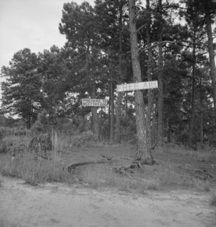 Georgia road sign, 1937. Creator: Dorothea Lange.