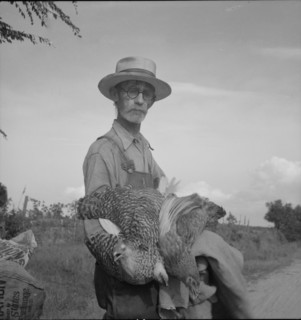 Farmer who has just moved into impoverished Greene County, Georgia from the Georgia hills, 1937. Creator: Dorothea Lange.