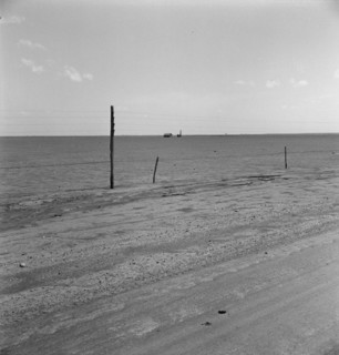 Abandoned farm on the high plains, Texas County, Oklahoma, 1938. Creator: Dorothea Lange.