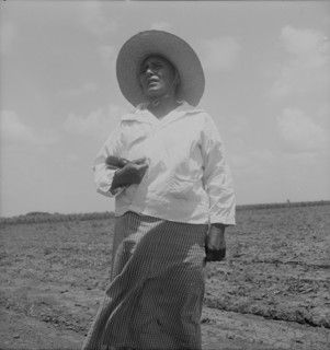 Wife of a Mexican sharecropper near Bryan, Texas, 1938. Creator: Dorothea Lange.