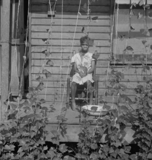 Butter bean vines across the porch, negro quarter in Memphis, Tennessee, 1938. Creator: Dorothea Lange.
