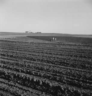 Contour plowing on mechanized farms, Childress County, Texas Panhandle, Texas, 1938. Creator: Dorothea Lange.