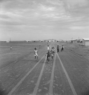 Farm Security Administration Casa Grande project, Arizona, 1938. Creator: Dorothea Lange.