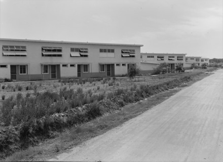 Chandler project, Farm Security Administration, Arizona, 1938. Creator: Dorothea Lange.