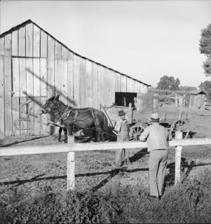 Farm Security Administration rural rehabilitation client, Tulare County, California, 1938. Creator: Dorothea Lange.