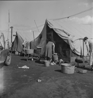 Orange pickers' camp, Tulare County, California, 1938. Creator: Dorothea Lange.