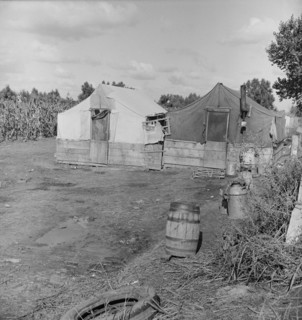 Living conditions of the migrant agricultural workers...Tulare County, 1938. Creator: Dorothea Lange.