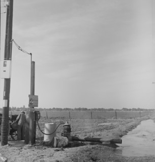 Irrigation pump on edge of field, San Joaquin Valley, California, 1938. Creator: Dorothea Lange.