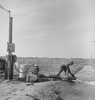 Irrigation pump on edge of field, San Joaquin Valley, California, 1938. Creator: Dorothea Lange.