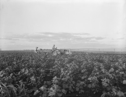The tractor pulls a riding plow, near Centrae, Texas, 1937. Creator: Dorothea Lange.