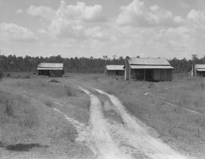 Turpentine worker's cabins, Valdosta, Georgia, 1937. Creator: Dorothea Lange.