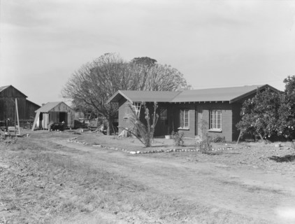 Rural rehabilitation, Tulare County, California, 1938. Creator: Dorothea Lange.