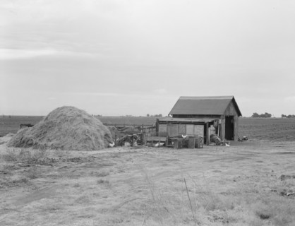 Small farm, Kern County, California, 1938. Creator: Dorothea Lange.