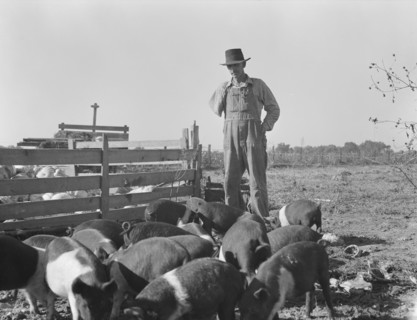 Farm Security Administration (FSA) rural rehabilitation client, Tulare County, California, 1938. Creator: Dorothea Lange.