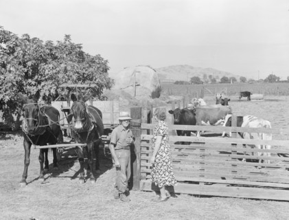 Rural rehabilitation, Tulare County, California, 1938. Creator: Dorothea Lange.