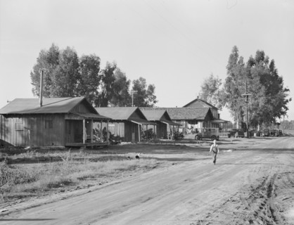 Early stage in the history of the farm experiment, Mineral King Ranch, Tulare County, CA, 1938. Creator: Dorothea Lange.