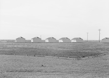 United States government camp for migratory workers (FSA), Westley, California, 1938. Creator: Dorothea Lange.