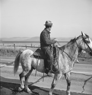 Cowboy coming in from the hills, San Luis Obispo County, California, 1938. Creator: Dorothea Lange.