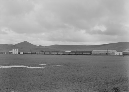 Orange packing shed, Strathmore, California, 1939. Creator: Dorothea Lange.