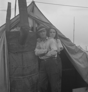 From Wyoming and Missouri eight years...working in lemons..., near Strathmore, CA, 1939. Creator: Dorothea Lange.
