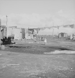 Migrants' winter quarters, Farmersville, Tulare County, 1939. Creator: Dorothea Lange.