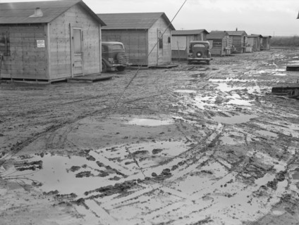 Company cotton pickers' camp after picking season, Buttonwillow, California , 1939. Creator: Dorothea Lange.