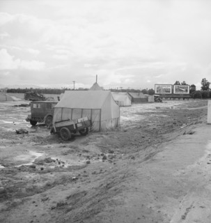Winter quarters, migratory agricultural workers, beside the highway, Tulare County, CA, 1939. Creator: Dorothea Lange.